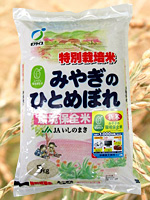 特別栽培米　みやぎのひとめぼれ　環境保全米